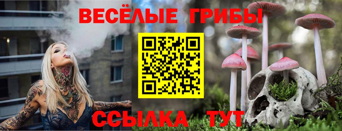Галлюциногенные грибы Cubensis  Псилоцибиновые грибы Psilocybe  Вход с VPN  Новоуральск 